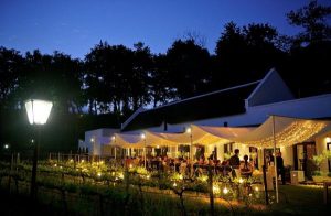molenvliet wine guest estate
